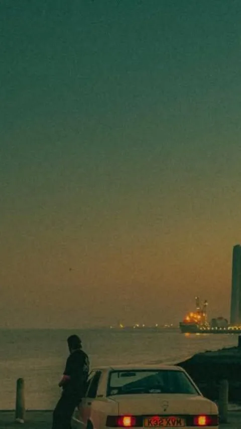 A person beside a car overlooking the water at dusk.